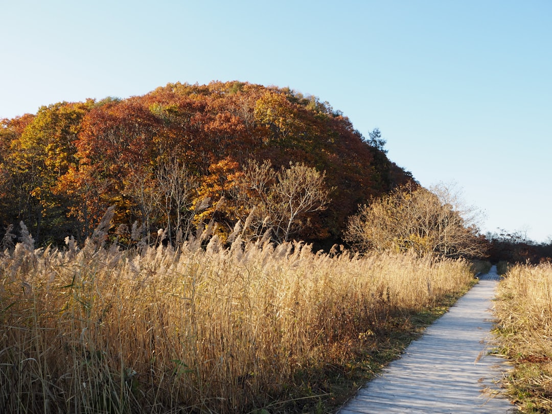 Photo Nature walk